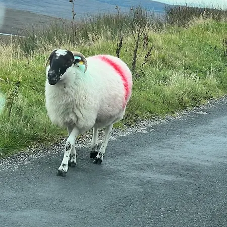 Shalom Mountain View Oldtown Falcarragh